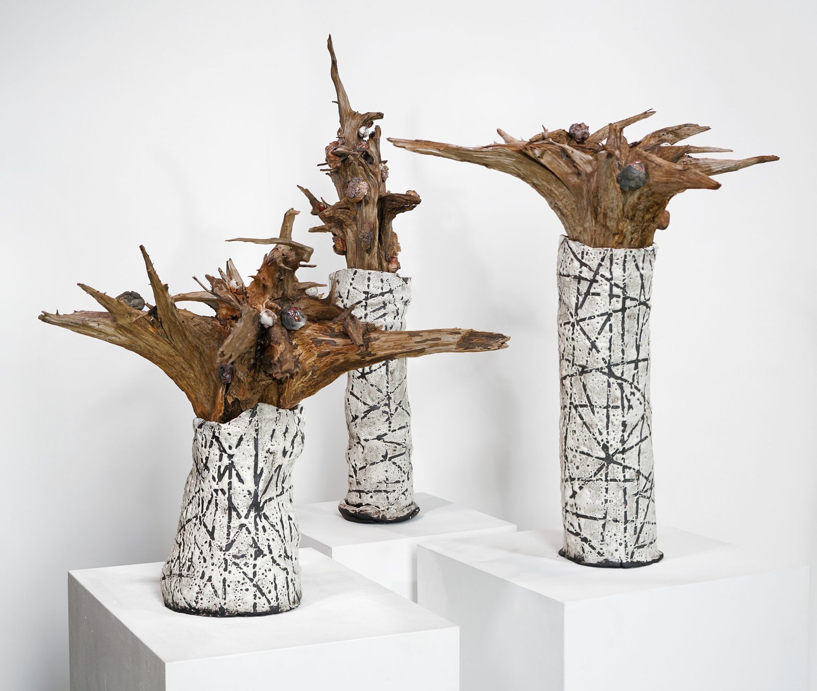 Suzette Schutze